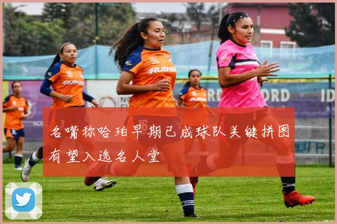 名嘴称哈珀早期已成球队关键拼图有望入选名人堂
